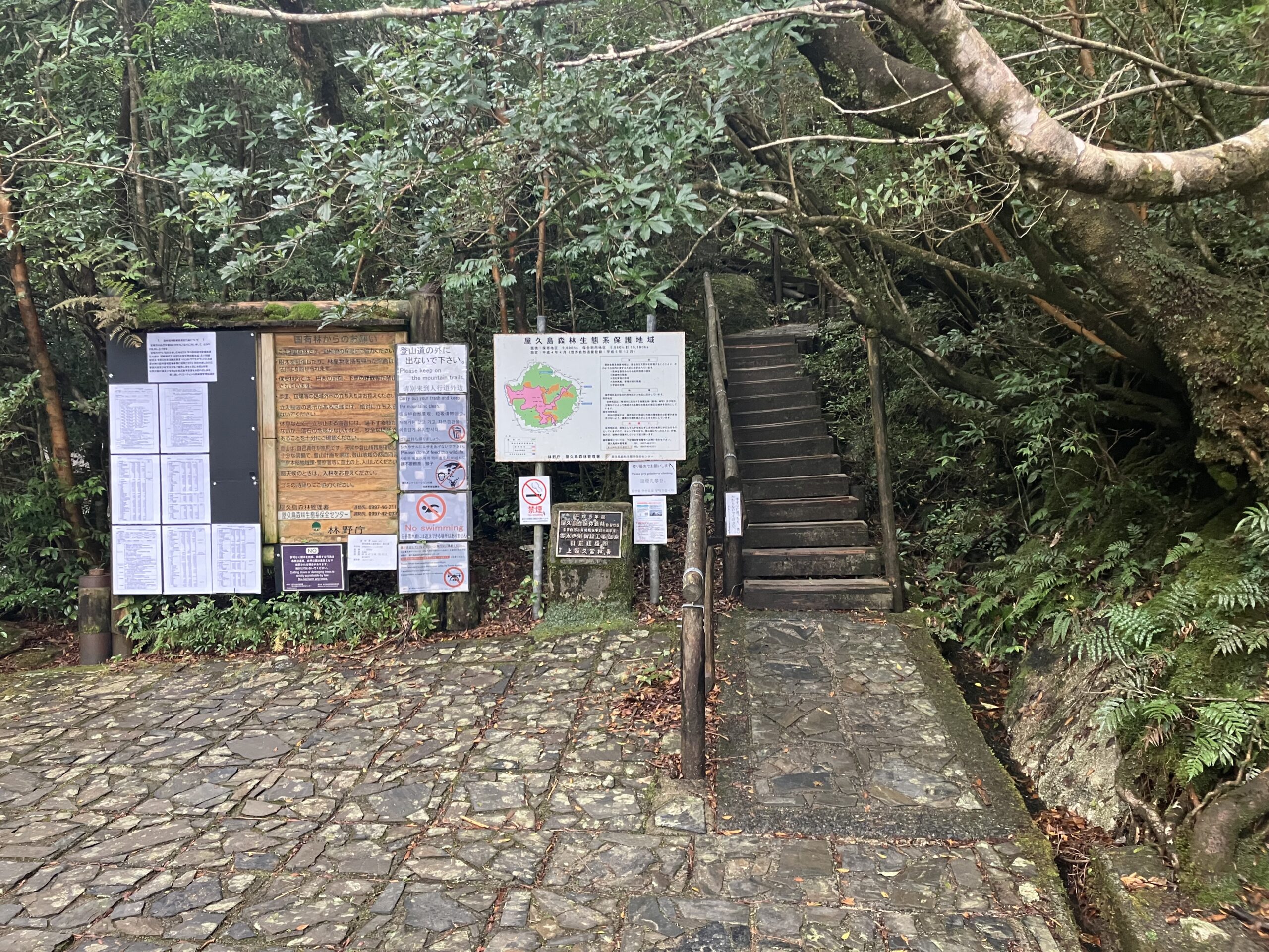 白谷雲水峡の登山口