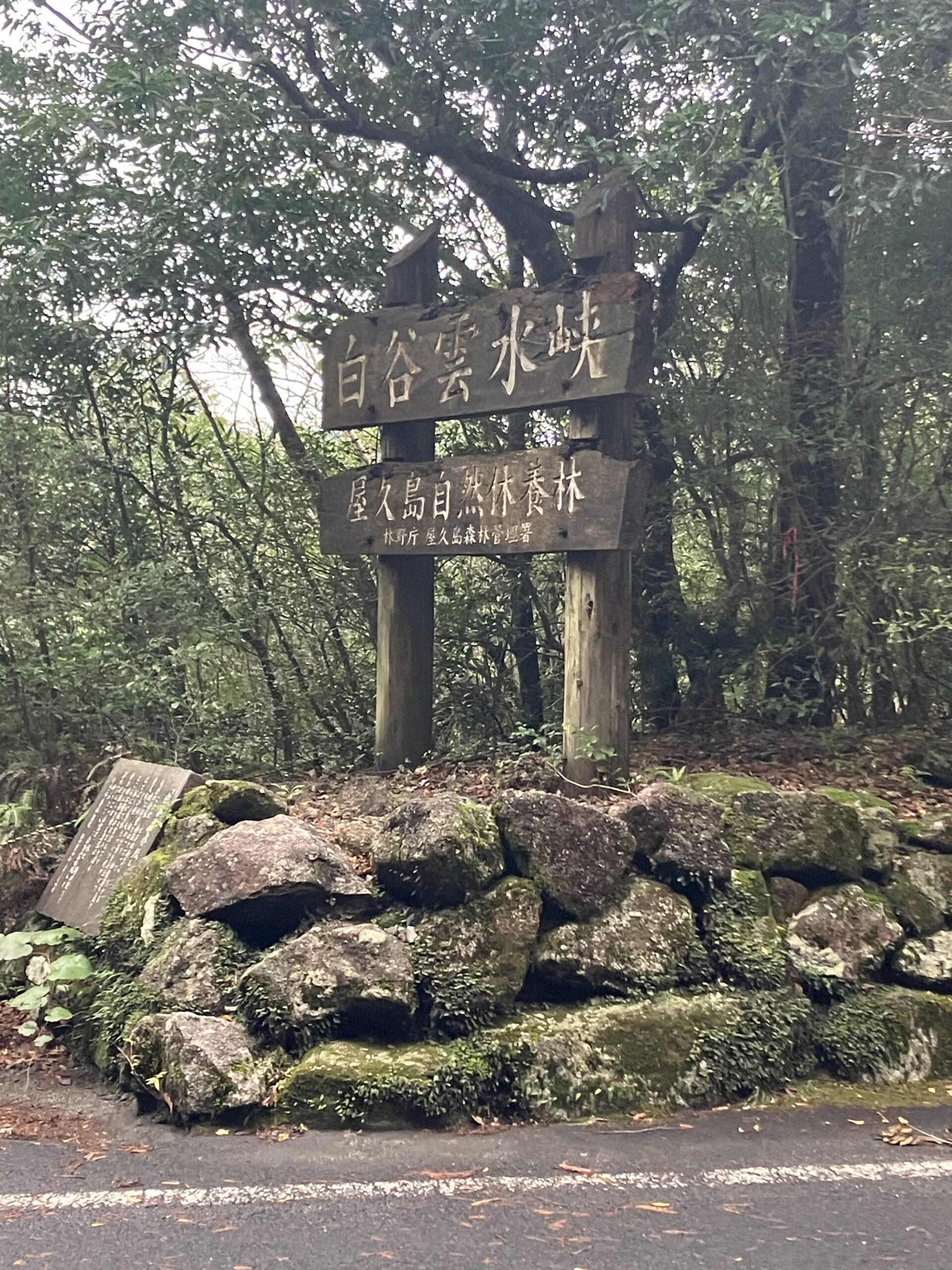 白谷雲水峡の看板