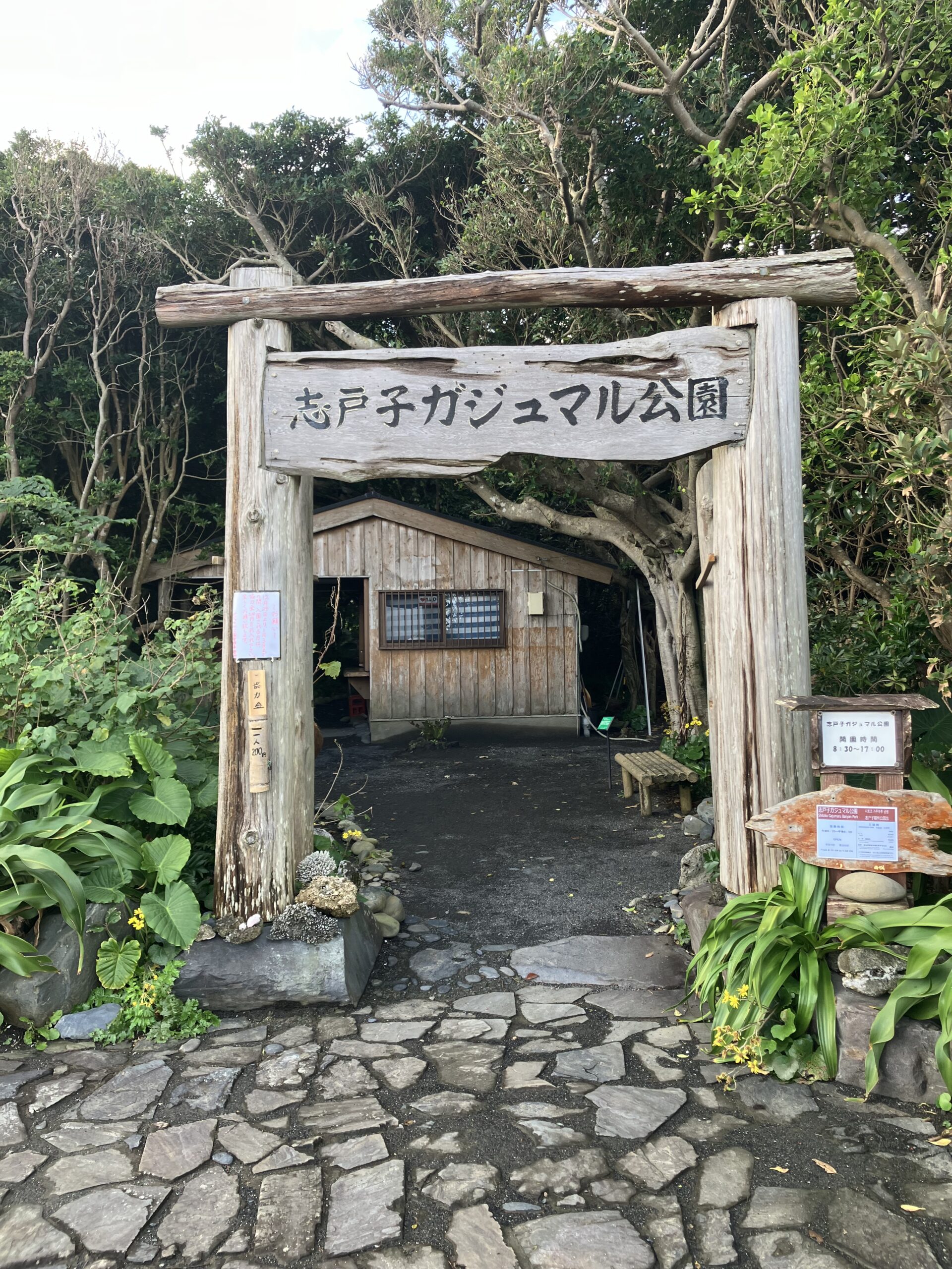 志戸子ガジュマル公園