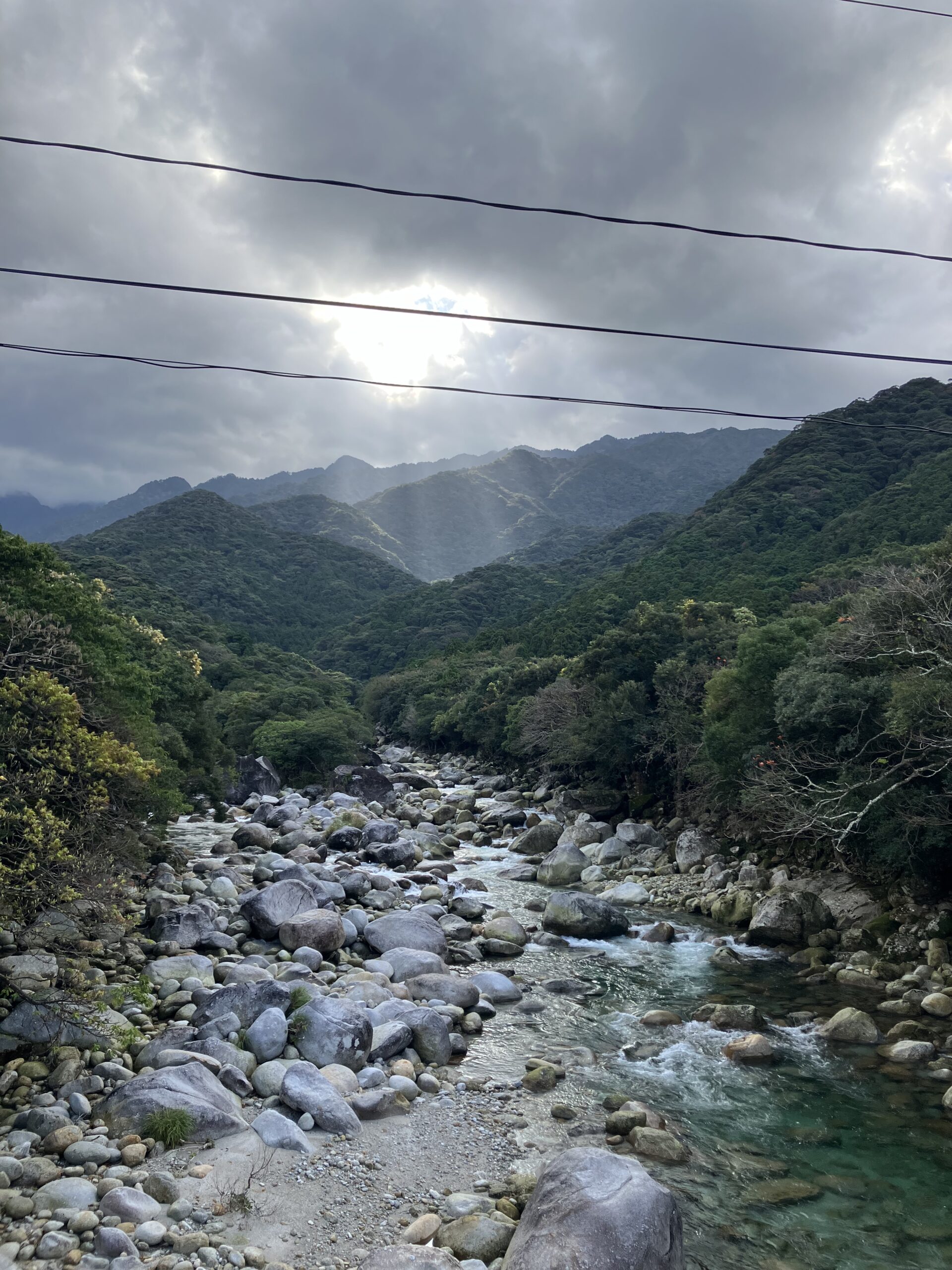 屋久島の清流