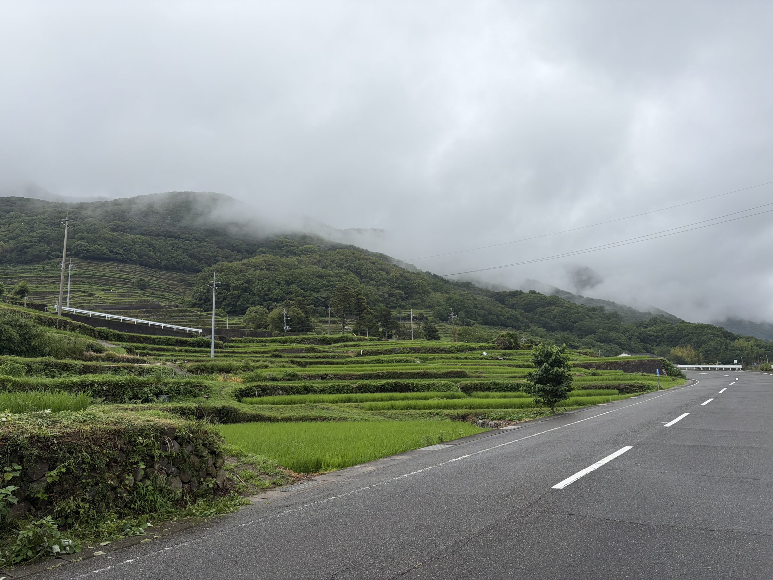 中山千枚田